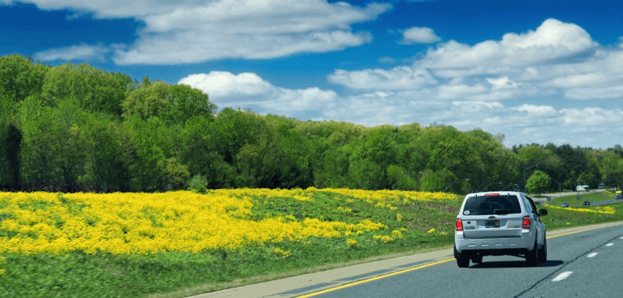 Conducción y alergia primaveral Consejos para evitar riesgos al volante